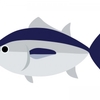 マグロの大きさ・重さの最大記録（世界・日本）と種類別平均のまとめ