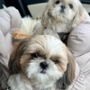 さっぱりしたら同じ顔