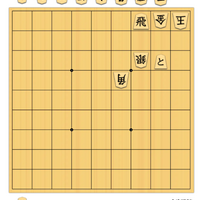 【９手詰】🍀禁じ手《打ち歩詰め》の打開策😘～５分で１級！作・井上慶太九段