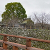 雨の中でしたが、郡山城跡も一緒に見てきました。