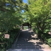 【鎌倉いいね】暑すぎて人影がない円覚寺。そして建長寺の開山忌。