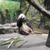 6月2日～6月8日(動物園・博物館、鶴見散歩（森永製菓見学）、内見）