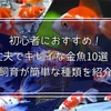 初心者におすすめ！丈夫でキレイな金魚10選！飼育が簡単な種類を紹介