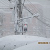 【またも】大雪【2月6日】