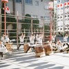 フィルムカメラで撮った写真16本目(ポーランドとタイと日本編)