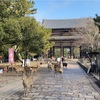 東大寺といえば大仏と鹿さま！