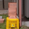 日本蜜蜂待ち箱設置
