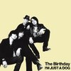 The Birthday『I’M JUST A DOG』　6.5