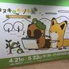 梅田ロフトで開催されている「タヌキとキツネ展」に行ってきました
