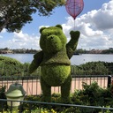 ディズニー×作業療法＝？