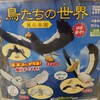 梟雄…