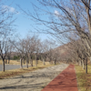自然を見つめる散歩道 (その１０)