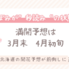 【速報】2025年の桜、高知と熊本で全国初開花！なぜ今年は早い？
