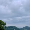 梅雨が明けてからの花と野菜のようす
