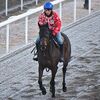 ２４日に美浦・堀厩舎へ帰厩しています。☆ミラクルキャッツ