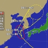 夜だるま台風情報