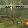 ゼルダの伝説 ブレスオブザワイルド プレイ日記07 カカリコ村で遊ぶ