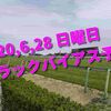 2020,6,28 日曜日 トラックバイアス予想 (東京競馬場、阪神競馬場、函館競馬場)