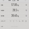 【56.5kgになるまで】11日目