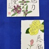今月の花はバーベナ