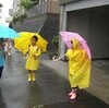 ＊昨年より１７日も早く梅雨入りした東京