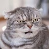 なぜ、それを食おうと思うんだ？