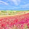 どうすればいいの？と悩む人生を卒業する｜瞑想で人生が変わる理由