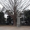 千葉県野田市・茂木佐公園