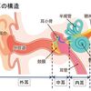 ★ザーッという変な耳鳴りが聴こえる！？