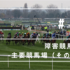 23/01/06 障害競馬入門⑯ - 主要競馬場（その他②） - 