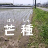 二十四節気「芒種 (ぼうしゅ)」 6/6～6/20頃　2026/06/06