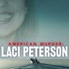 オリジナルビデオ『アメリカン・マーダー: レイシー・ピーターソン殺人事件』American Murder: Laci Peterson Netflix