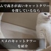 【コスパ最高】スリムで背の高いキャットタワーをお手頃価格で手に入れたいなら。