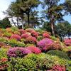 塩船観音寺　つつじまつり（東京都青梅市）