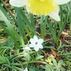 今日は晴れ！気温は高い？花粉は多い