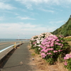 ロード　（台風が多い）