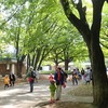ちびっこ遊び隊！通信　2020年10月1日(木)円山公園で木の実あそび♪