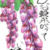 【西東京の植物絵手紙（21）…西東京市富士町・富士町交差点の近くでピンクの馬酔木（あせび）の花を見つけた！】