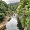 定山渓で鳥見