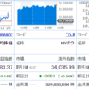 自分の保有銘柄は軟調ですね