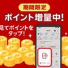 簡単ポイ活！楽天ペイの見てポイントで楽天ポイントが貰えるキャンペーン！現在は増量中？山分けも！