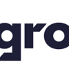 【新規ツール探し】ngrok-go で速攻でローカルのウェブサーバを外部に公開する