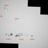 4296, 4294, 4298 黒点群 (2025/12/5)