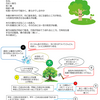 「算名占法　上」時間をかけて読んでます　