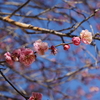 【学びの時間】気まぐれToday’s Tipを思い出す