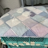 早朝の黒猫ダブル