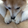 絶対狙ってるよね、だよ