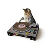 ニャンコによる華麗なるDJプレイが見られるか？！ターンテーブル型猫爪研ぎ「Cat Play House」