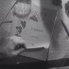 ▶　映画『 田舎司祭の日記 』( 1951 : directed by ロベール・ブレッソン ) を通じて映画批評と神学について考える ③