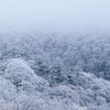 初雪　四国